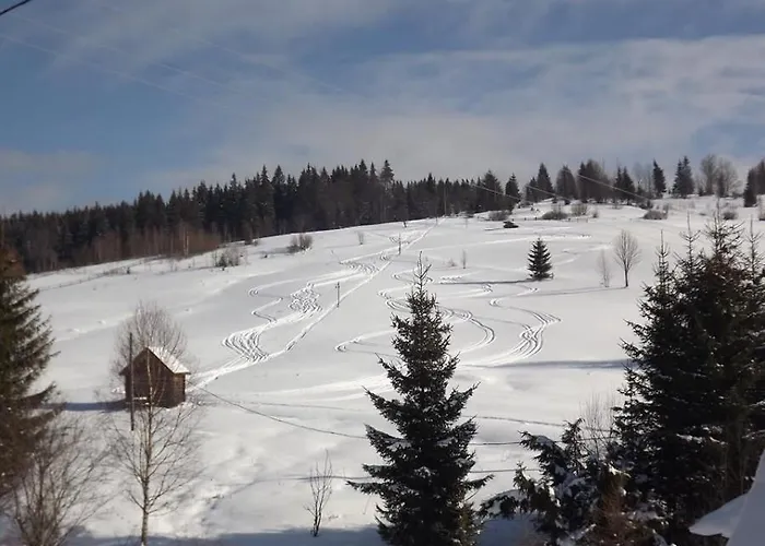Lodge у вишкові